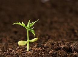 土壤監(jiān)測，土壤污染程度，深圳檢測機構(gòu)