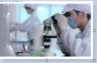 發(fā)色劑檢測